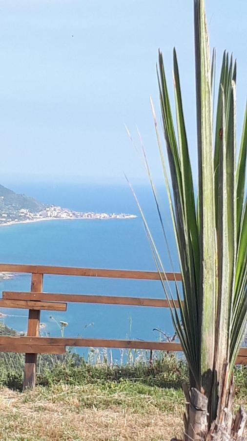 Tenuta Belvedere Cilento Montecorice Eksteriør billede