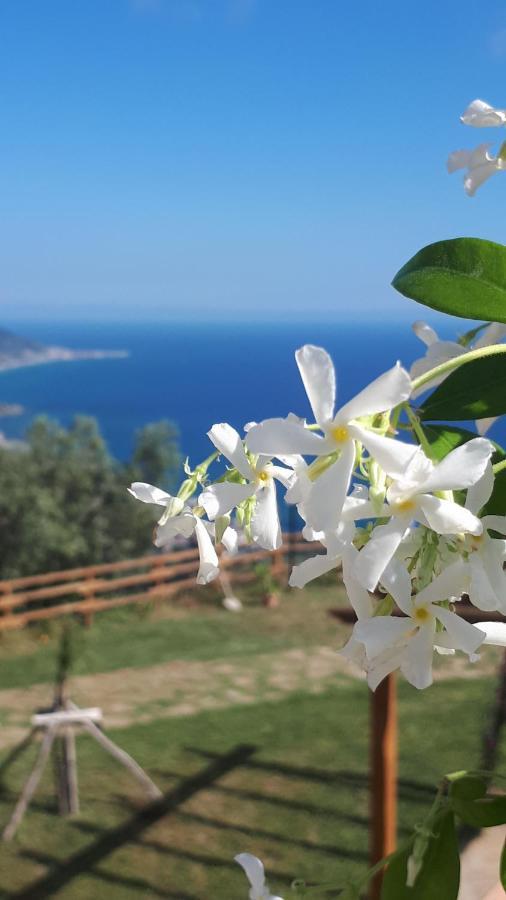 Tenuta Belvedere Cilento Montecorice Eksteriør billede