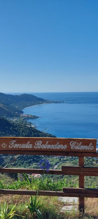 Tenuta Belvedere Cilento Montecorice Eksteriør billede