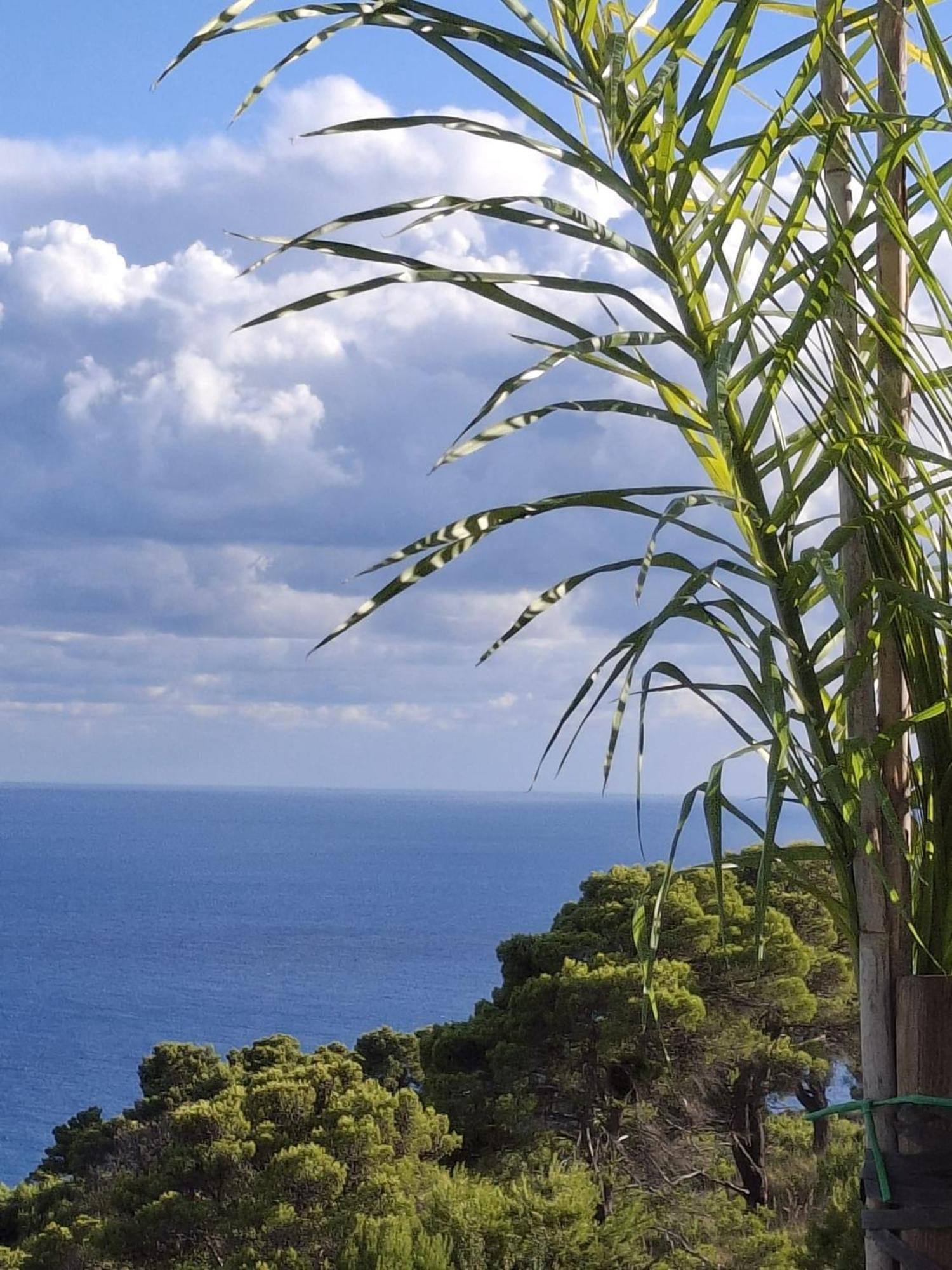 Tenuta Belvedere Cilento Montecorice Eksteriør billede